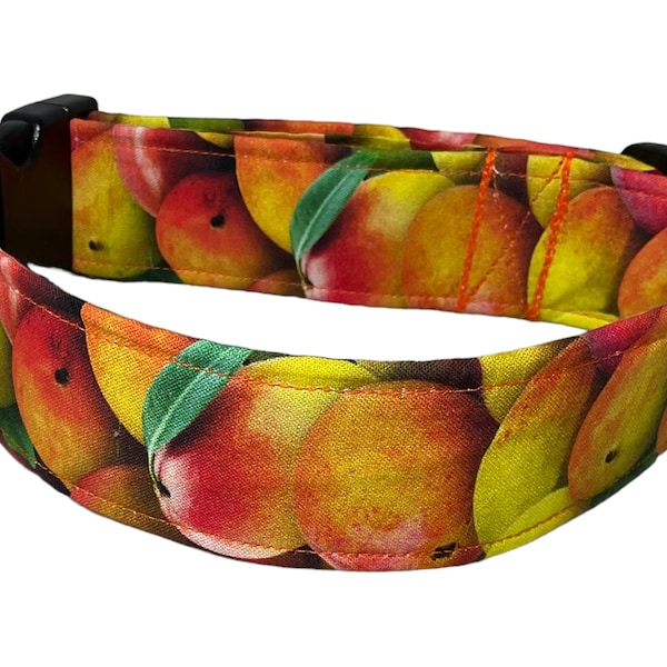 Mango Dog Collar Etsy