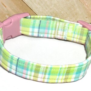 easter dog bow tie collar