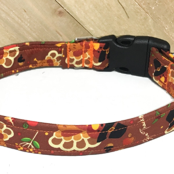 Thanksgiving Harvest Turkey Collar for Dogs or Cats-Buckle, Breakaway, Martingale Available