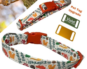 Fall Squirrel Patrol Collar for Dogs & Cats - Personalized Pet ID Tag and Leash Upgrade  - Choose Orange Buckle or Slip-On Martingale Style