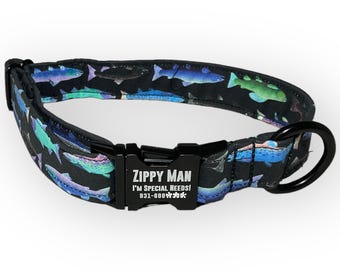 Personalized Fish Dog Collar- Engraved Rainbow Buckle- Colorful Fish on Black