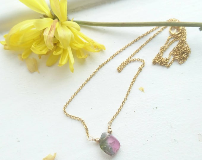 Dainty watermelon tourmaline necklace