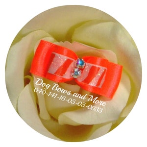 May include: A bright orange and white striped dog bow with two clear rhinestones. The bow is on a white rose.