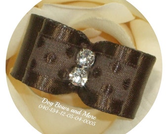 Dog Bows & More "Fudge Brownie" topknot show bow. Shih Tzu show bow, Yorkie show bow, Maltese show bow, Biewer show bow, Swarovski show bow