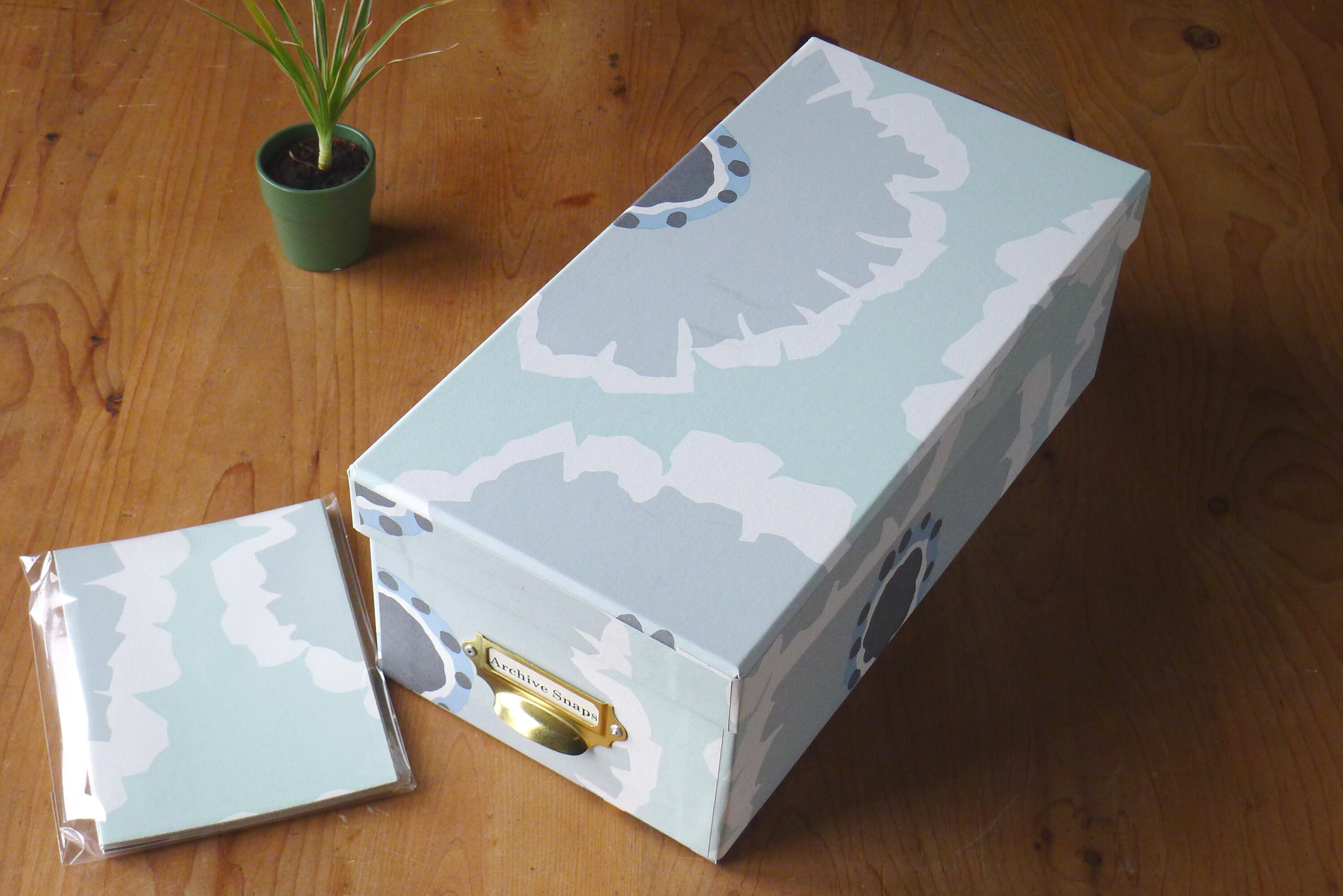 Archive Photo Snaps Box in Papavera Mint | Keepsake Box and