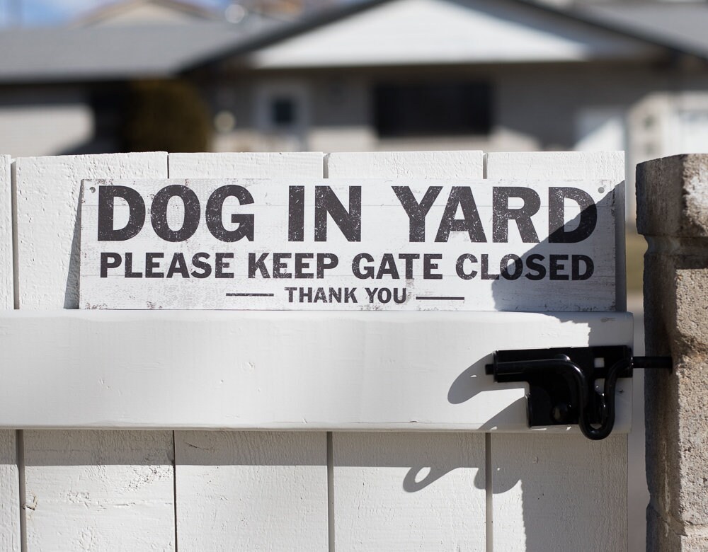 Dog in Yard Dog Sign Close Gate Sign Dog Outside Dog Etsy