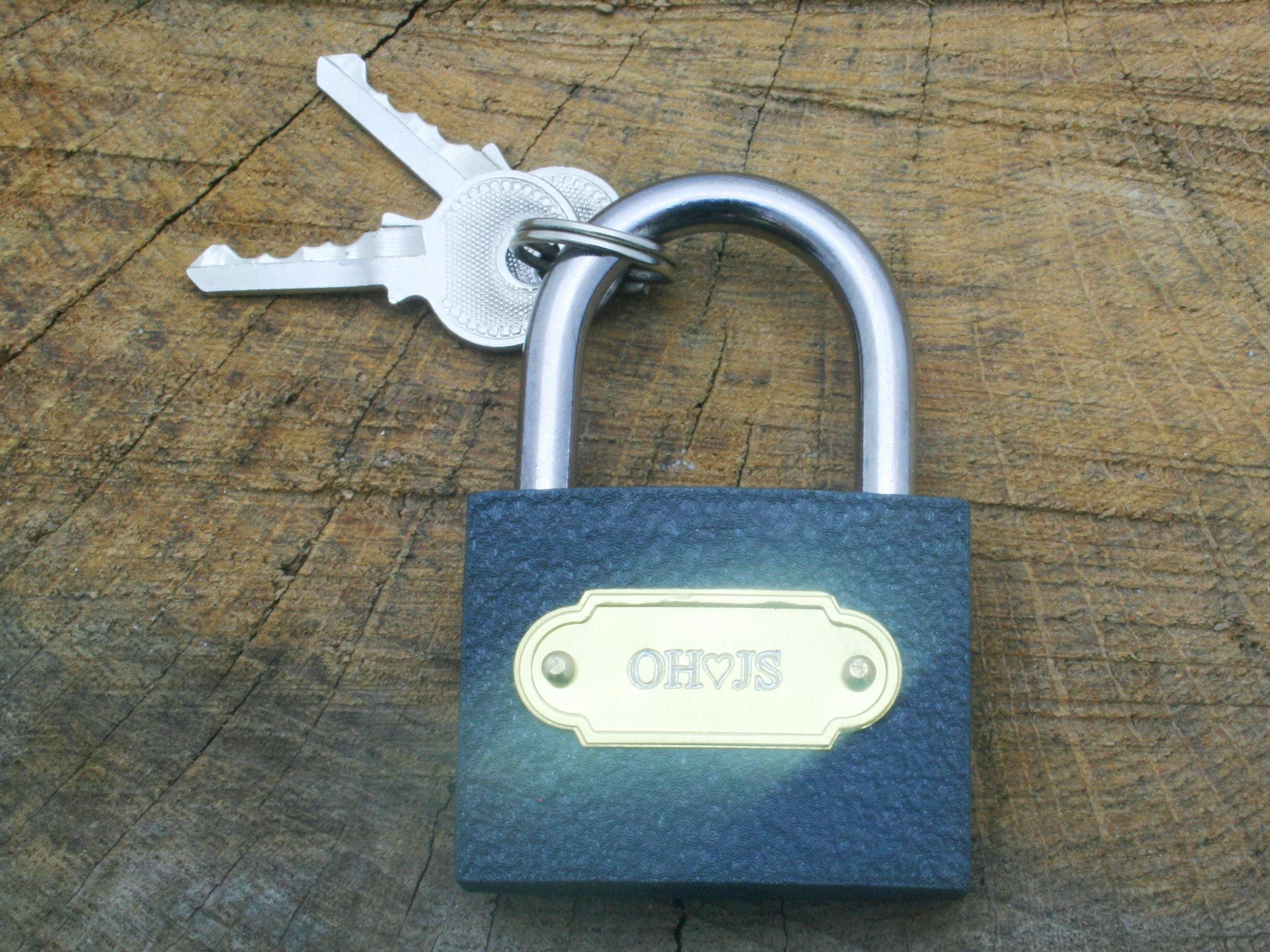Farmyard Animals Padlock Love Lock Wedding Anniversary Couple Bridge ...