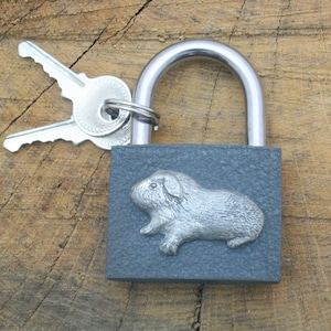 Pets Padlock Love Lock Wedding Anniversary Couple Bridge Unity Lock Free Engraving Cat Rabbit Dogs Guinea Pig Father's Day Gift pl