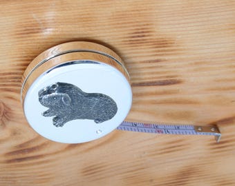 Pets Silver Plated 1 Meter Tape Measure Free Engraving Macaw Rabbit Dogs Guinea Pig Gift tm