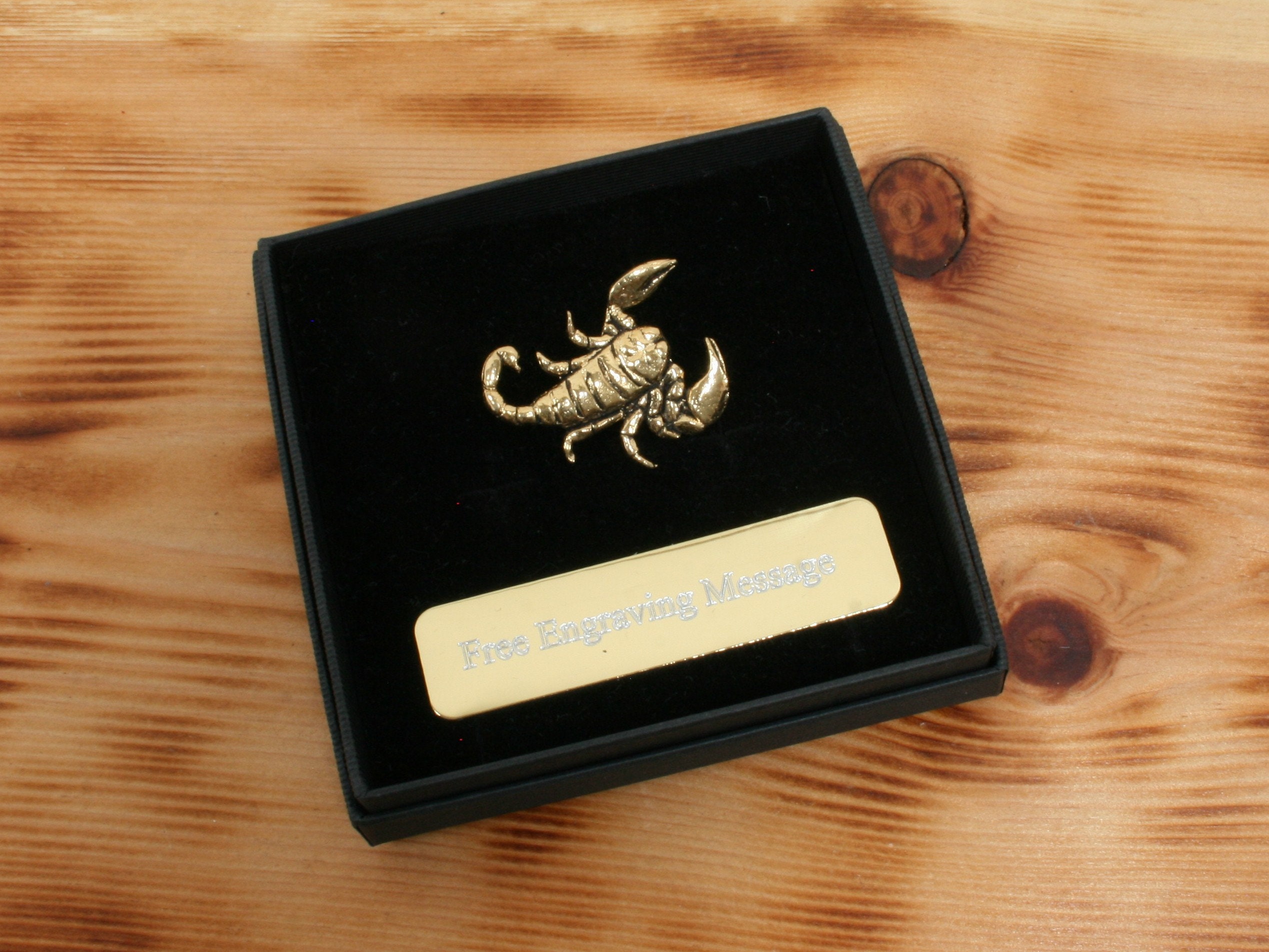 Scorpion Lapel Pin - Etsy