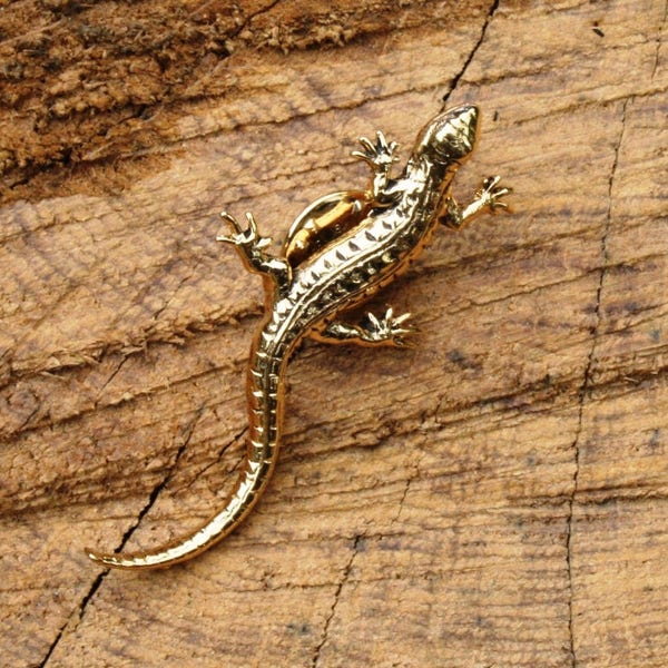 Lizard Gold Plated Pin Lapel Badge Safari Fathers Day Gift 223