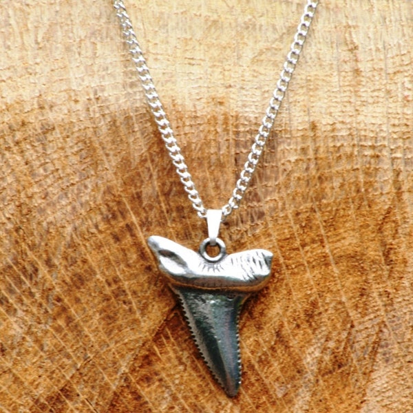 Shark Tiger Tooth Necklace & Pendant Ladies Nature Fathers Day Gift 320 nl