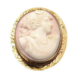 May include: A cameo brooch featuring a carved portrait of a woman with a delicate floral design around the edge. The cameo is set in a gold tone metal frame.
