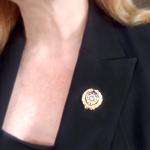 May include: A gold-colored pin with a blue and white shield design surrounded by a wreath of leaves. The shield has a star in the center and a circle around it.