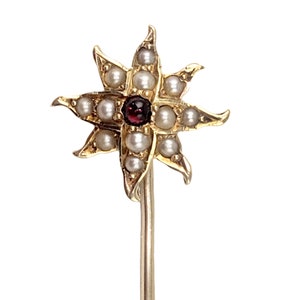 May include: A gold star-shaped pin with a red gemstone in the center and surrounded by pearls.