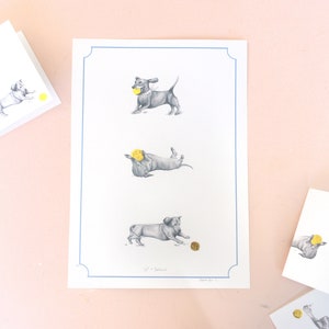 peachy pink background behind white dachshund print. three playing dachshund illustrated sketch. sausage dog with gold ball toy, gold foil print. A4 dachshund print
