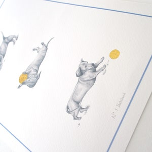 close up of three playing dachshund illustrated sketch. sausage dog with gold ball toy, gold foil print. A4 dachshund print with gold foil ball toy