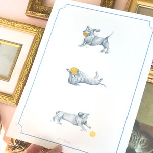 peachy pink background with gold vintage french inspired frames behind white dachshund print. three playing dachshund illustrated sketch. sausage dog with gold ball toy, gold foil print.