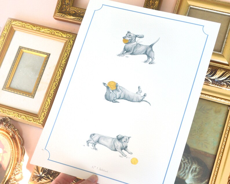 peachy pink background with gold vintage french inspired frames behind white dachshund print. three playing dachshund illustrated sketch. sausage dog with gold ball toy, gold foil print.