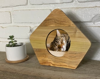 Op de afbeelding: Houten katten fotolijst met een ruitvorm en een cirkelvormige opening. De lijst toont een slapende tabby kat. Een kleine pot met vetplant staat links op een houten oppervlak, tegen een witte bakstenen muur.