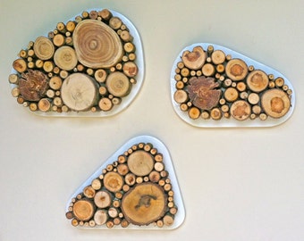 Unique, Modern, Rustic, Wood Slices Wall Art