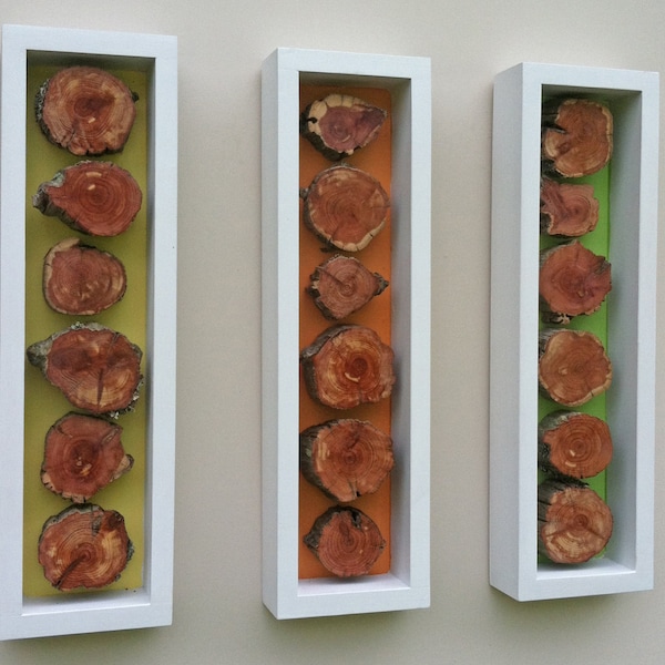 Wood Slices Wall Art Etsy