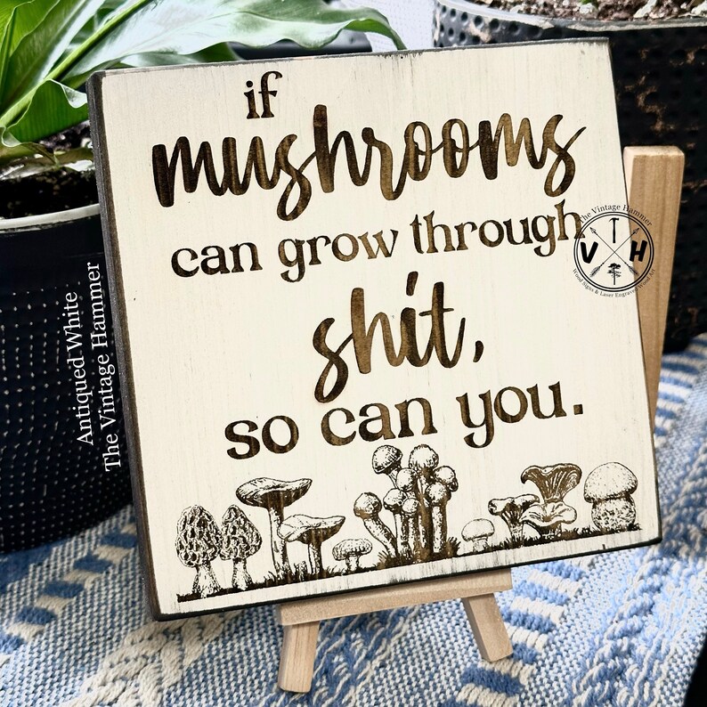 Engraved Mushroom Wood Plaque: Inspirational Self-Care Quote Decor image 8
