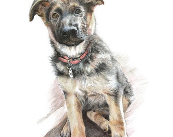 Haustierportrait mit Farbstift, feine Zeichnung, maßgeschneidert auf Bestellung, einzigartiges Geschenk für Tierliebhaber