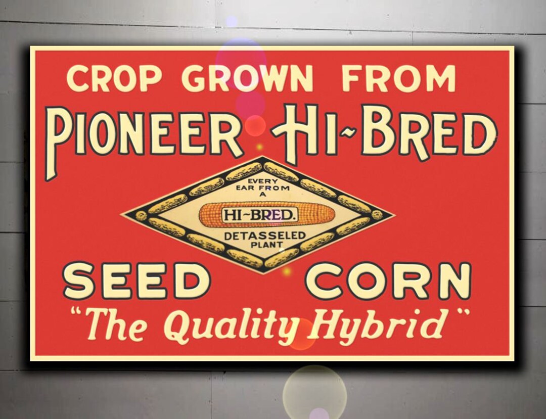 Copy of Pioneer Seed Company Sign Etsy