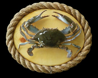 Freeze Dry Blue Crab Wall Decor: Shoreside Art on Pine