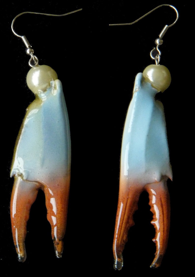 Real and Rare Blue Crab Claw Earrings. Professionally Etsy