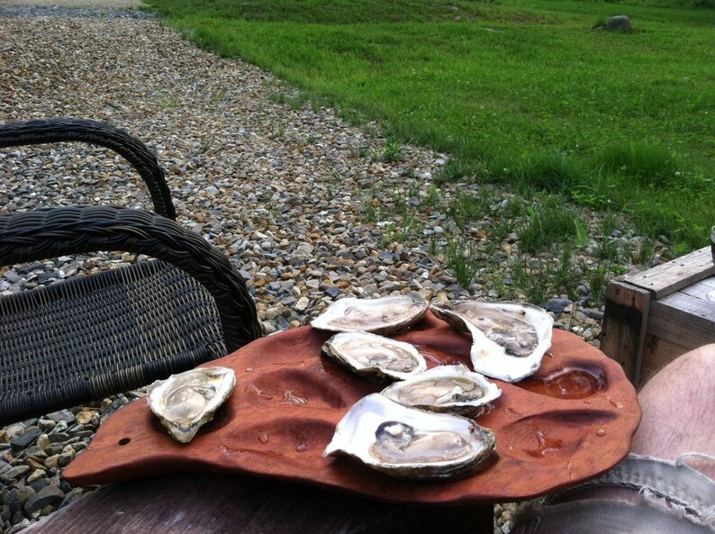 Wood Oyster Mahogany Platter, Oyster Plate Holds a Dozen Oysters Etsy