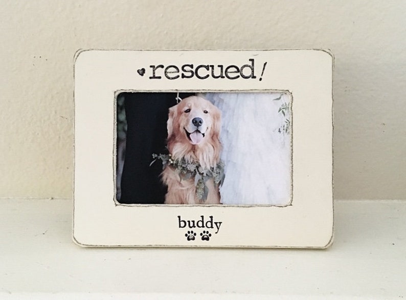 animal rescue gift, dog rescue, cat rescue, cat adoptions, cat mom, pet parent gift, cat foster mom, pet picture frame, gotcha gift image 1