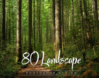 May include: A path winds through a lush green forest with tall trees. The text "80 Landscape Photoshop Action" is superimposed on the image.