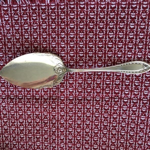 May include: A silver cake server with an ornate handle and a wide, flat blade. The server is lying on a red and white patterned fabric.