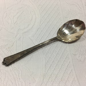 May include: A silver sugar spoon with a decorative handle and a scalloped bowl.