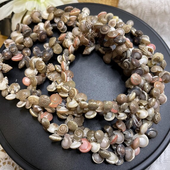 Vintage 1960s Seashell Necklace: Tiny Shell Tropi… - image 8
