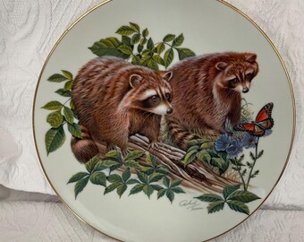 Vintage Raccoon Collectible Plate: Natures Heritage, Gold Trim (1982)
