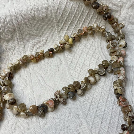 Vintage 1960s Seashell Necklace: Tiny Shell Tropi… - image 10