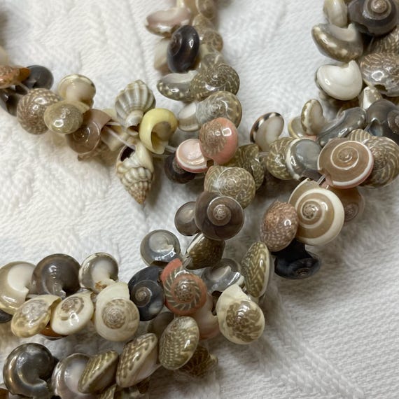 Vintage 1960s Seashell Necklace: Tiny Shell Tropi… - image 7
