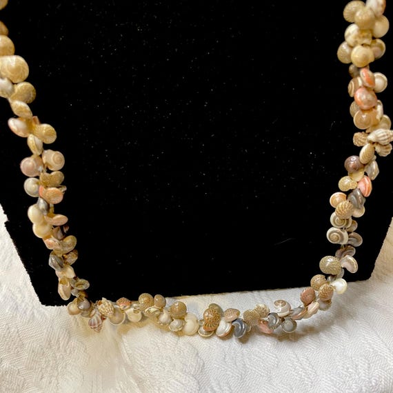 Vintage 1960s Seashell Necklace: Tiny Shell Tropi… - image 4