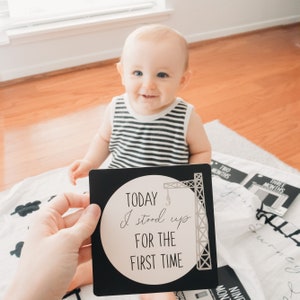Conjunto mensual de la tarjeta del hito, tarjetas de memoria del recuerdo del bebé, regalo de la ducha del bebé, apoyo de la foto del recién nacido, regalo del bebé, nuevo niño del bebé, tren neutral del género