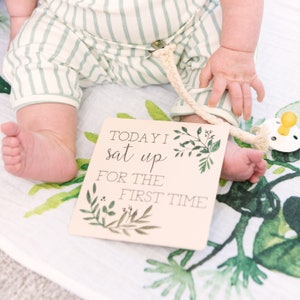 Cartes d'étape mensuelles, souvenir de bébé, cartes mémoire, cadeau de naissance, accessoire de photographie nouveau-né, cadeau de bébé fille, ferme moderne, bébé Boho