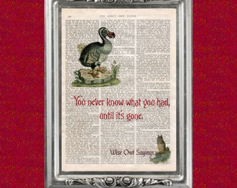 Dodo "Never know what you've had" quote on vintage book page, Wise Owl Sayings 12, art print, Upcycled book page, wall decor