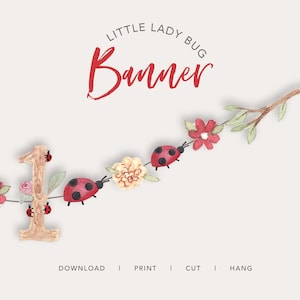 May include: A banner with the text "Little Lady Bug Banner" in red script. The banner features a number "1" and is decorated with ladybugs and flowers. The words "Download | Print | Cut | Hang" are at the bottom.
