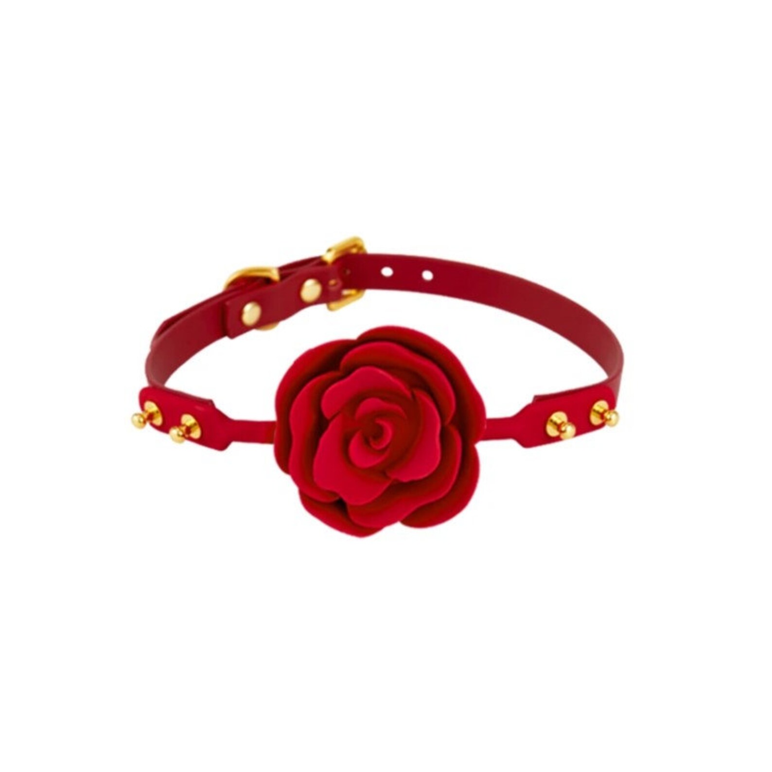 Red Ball Gagged