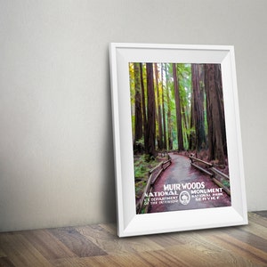 May include: A vintage-style poster featuring a scenic view of a path through a redwood forest. The poster is titled "Muir Woods National Monument" and includes the text "U.S. Department of the Interior National Park Service".