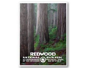 Redwood National Park Poster | National Park Poster | National Park Print | Vintage Poster | Wall Art | Home Decor