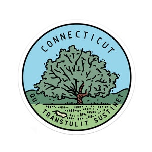 Connecticut Sticker | Connecticut Decal | Multiple Sizes | Bumper Sticker | Water Bottle | Travel | Laptop | Waterproof