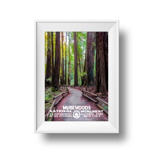 May include: A framed print of a painting depicting a path through a redwood forest. The path is lined with wooden railings and leads to a clearing in the trees. The text "Muir Woods National Monument" is printed at the bottom of the image.